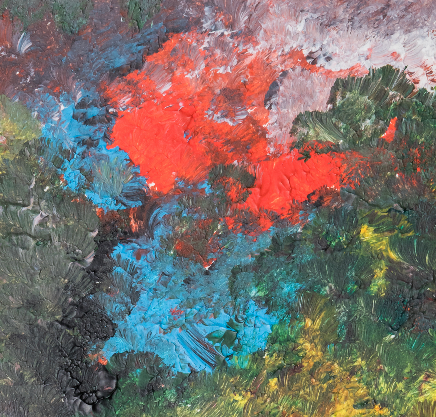 #008 "Forêt sombre"