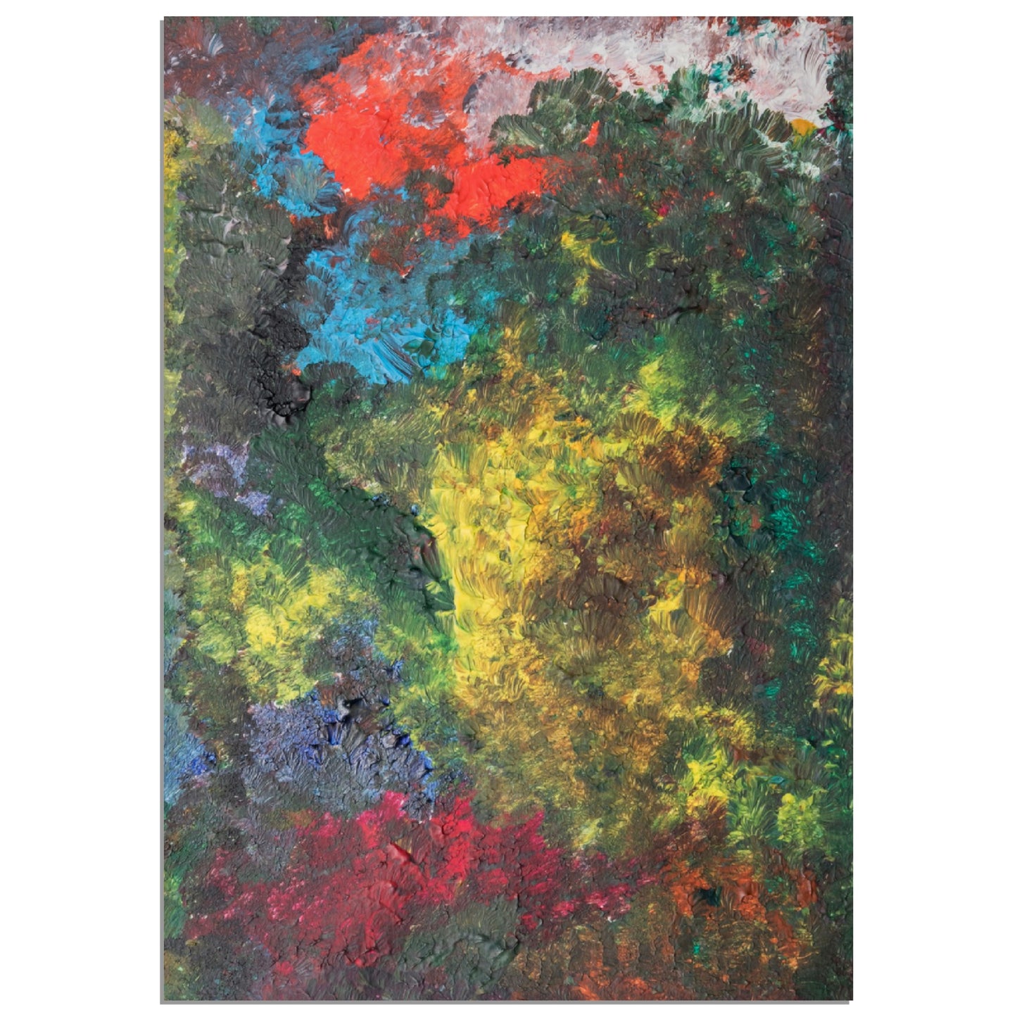 #008 "Forêt sombre"